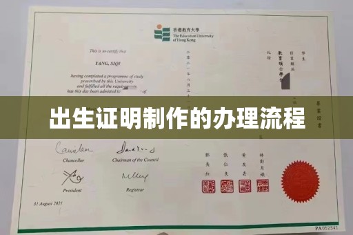 通山出生证明制作的办理流程
